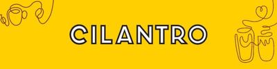 Cilantro